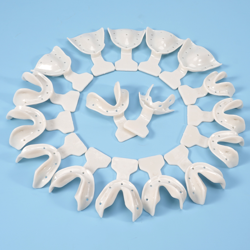 Juego de 17 bandejas de impres - Teeth Whitening Trays reseña y precio