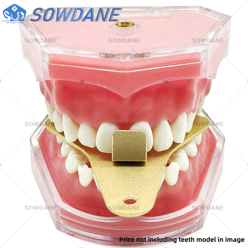 Bandejas de impresión de labor - Teeth Whitening Trays reseña y precio