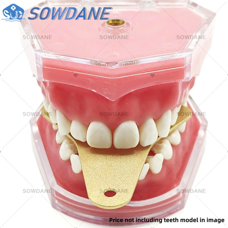 Bandejas de impresión de labor - Teeth Whitening Trays reseña y precio