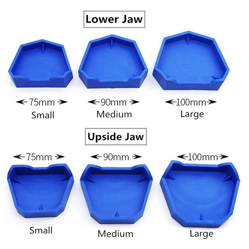6 unids/set modelo Dental Base - Teeth Whitening Trays reseña y precio